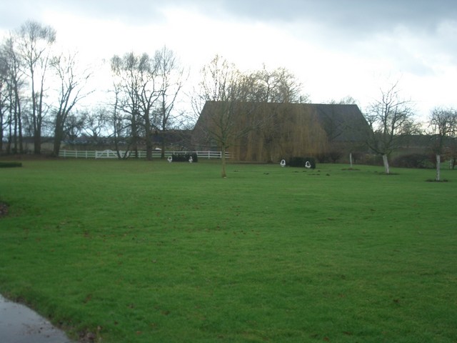 Eine Wiese mit viel Platz für Womos und Zelte.