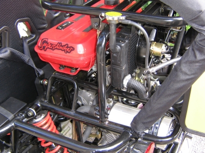 Bild Motor 250er